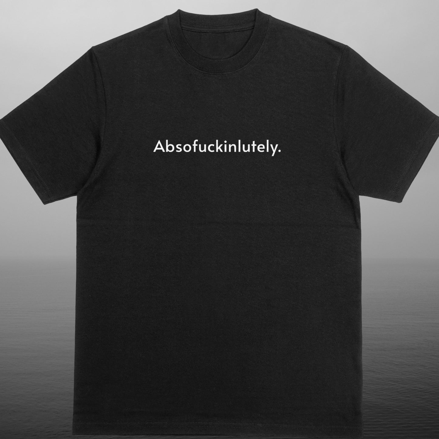 ADIOS BITCHACHOS TSHIRT / DTF TRANSFER